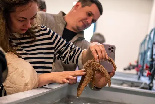 A student holding a starfish above a small water tank